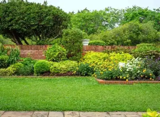 landscaping services Kingston Estates